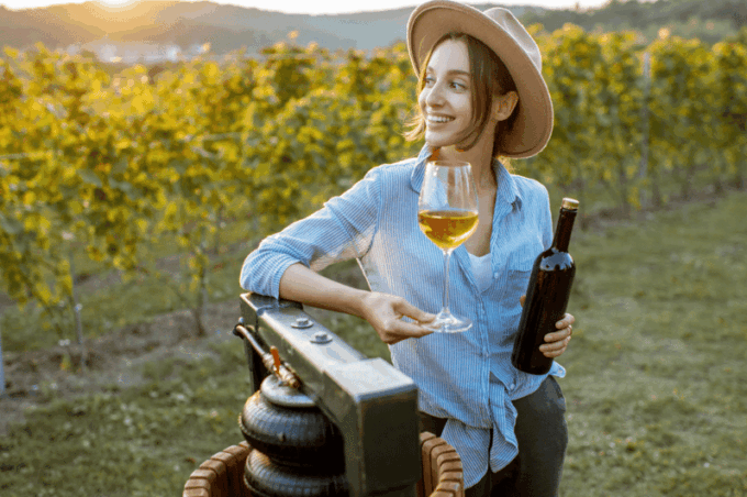 Buenos Aires: Mendoza Wine Paradise Day Trip With Airfare - Pickup and Drop-off Locations