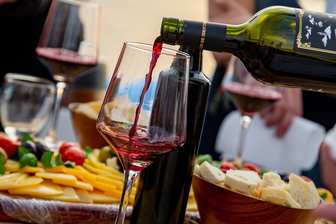 Buenos Aires Private Sailing With Wine Tasting - Professional Sommelier Guidance