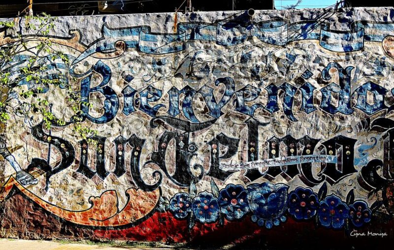 Buenos Aires: San Telmo and Market Guided Walking Tour - Key Points