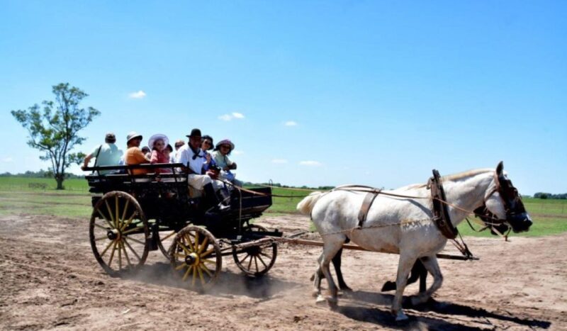 Buenos Aires: Santa Susana Ranch Day Tour, BBQ & Shows - Key Points