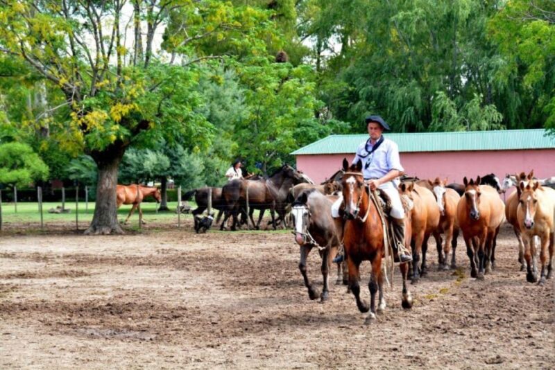 Buenos Aires: Santa Susana Ranch Day Tour, BBQ & Shows - Dining and Activities