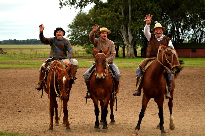 Buenos Aires Shore Excursion: Gaucho Day Trip to Santa Susana Ranch - Included Experiences