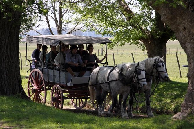 Buenos Aires Super Saver: City Tour, Gaucho Day at a Farm & Tango Dinner-Show - Key Points