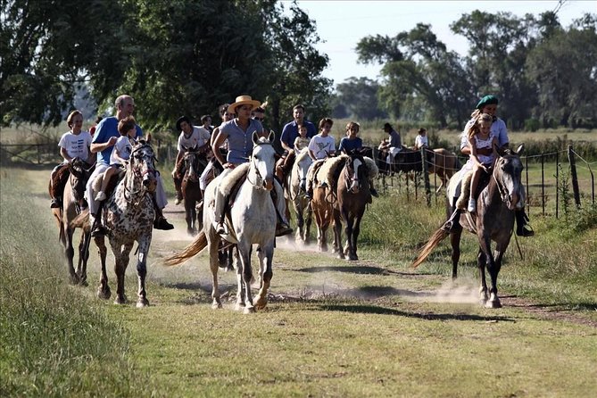 Buenos Aires Super Saver: City Tour, Gaucho Day at a Farm & Tango Dinner-Show - Highlights of the City Tour