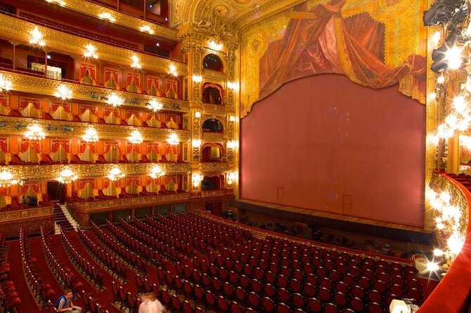Buenos Aires Teatro Colon Guided Tour - Inclusions and Accessibility