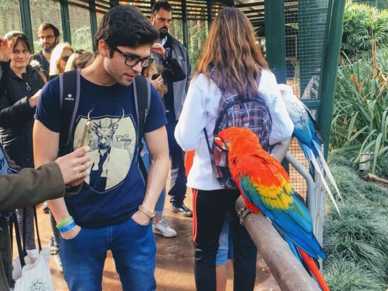 Buenos Aires: Temaiken Biopark With Transfers - Transportation and Arrival