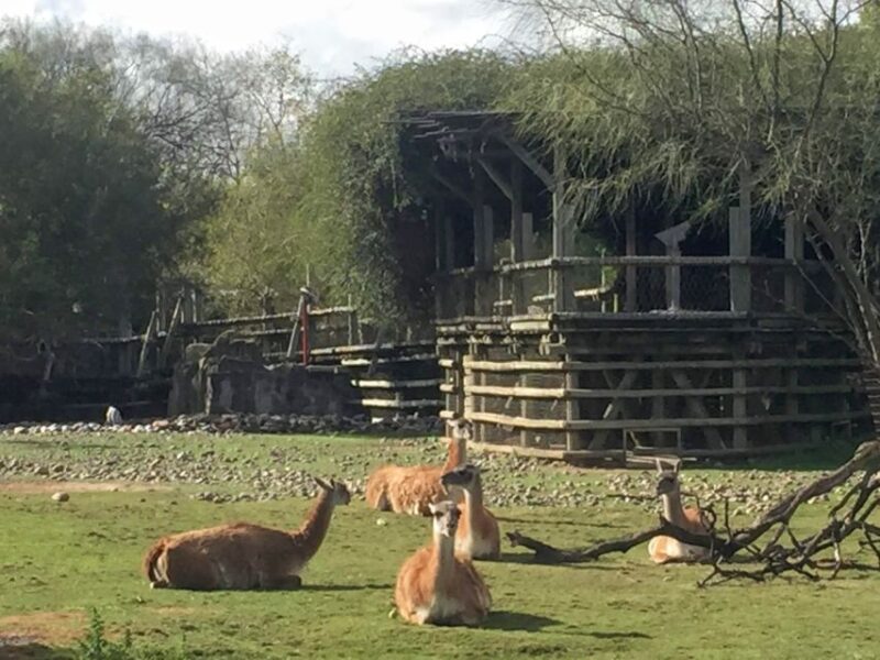 Buenos Aires: Temaiken Biopark With Transfers - Asian Zone Highlights