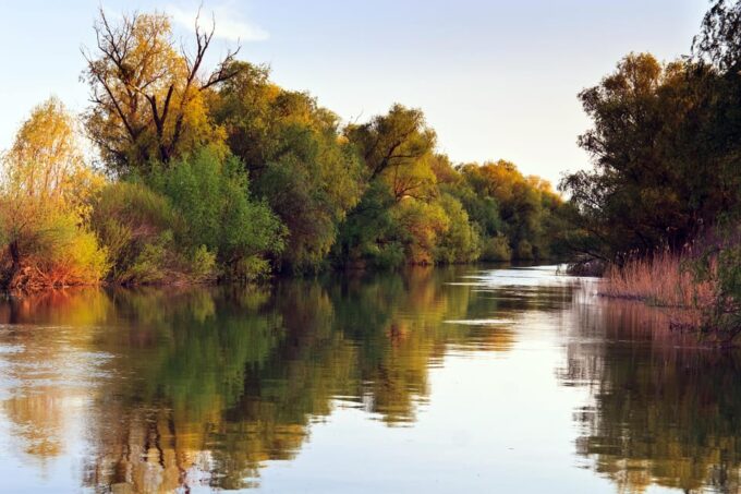 Buenos Aires: Tigre Delta Tour by Boat and Van With Snacks - Snacks and Historical Venue
