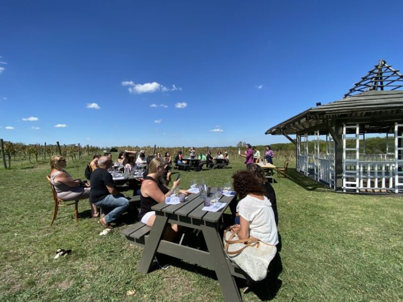 Buenos Aires: Wine Tasting and Lunch at Bodega Gamboa - Transportation and Pickup