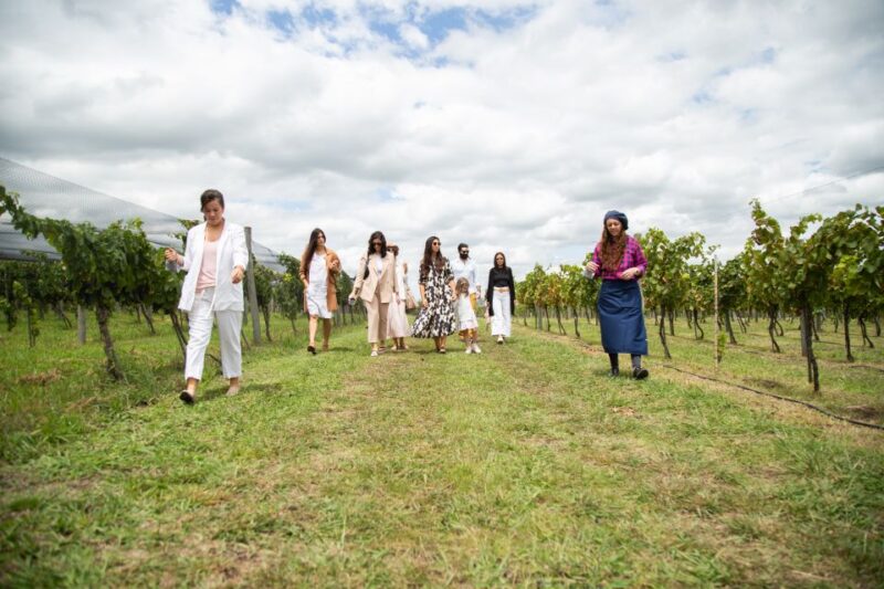 Buenos Aires: Wine Tasting and Lunch at Bodega Gamboa - Traveler Reviews and Ratings