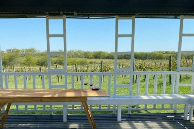 Buenos Aires: Wine Tasting and Lunch at Bodega Gamboa - Uncovering Local Culture
