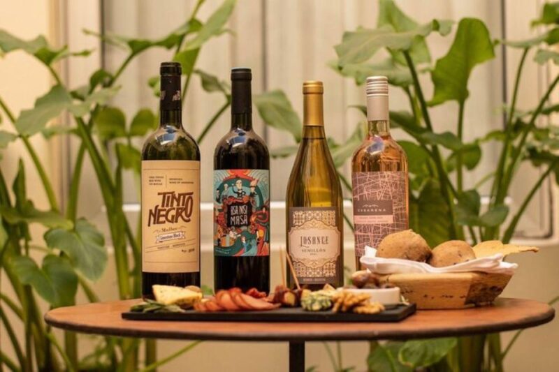 Buenos Aires: Wine Tasting Boutique - Boutique Wineries Explored