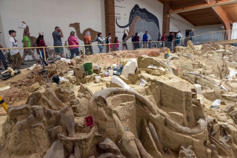 Buffalo Jeep Safari & Mammoth Site Tour - Booking Information