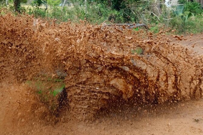 Buggie Adventure Bayahibe - Overview of Buggie Adventure