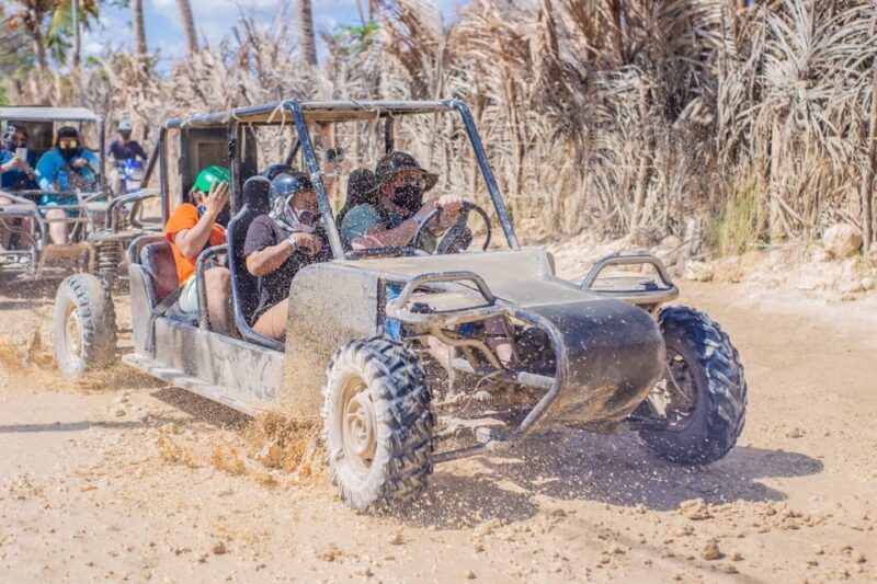 Buggies and Horseback Riding in Punta Cana. - Key Points