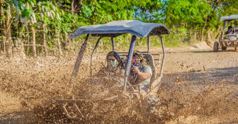 Buggies and Horseback Riding in Punta Cana. - Itinerary and Experience