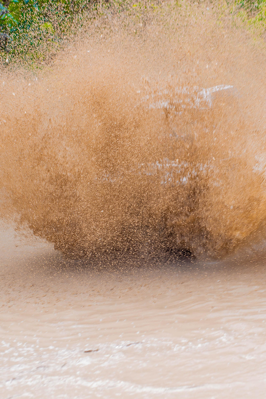 Buggies and Horseback Riding in Punta Cana. - Participant Requirements