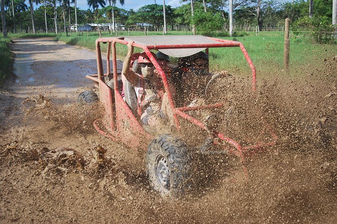 Buggies Experience From Punta Cana - Navigating the Terrain