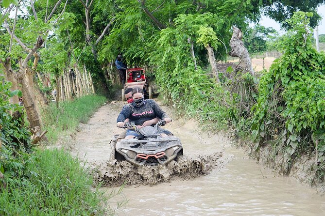 BUGGIES in Punta Cana - Customer Feedback