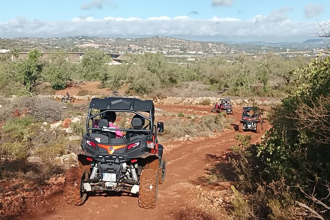 Buggy Adventure - 2 Hours Off-Road Guided Tour From Albufeira - Exploring Algarves Countryside