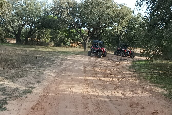 Buggy Adventure - 2 Hours Off-Road Guided Tour From Albufeira - Visiting the Castle of Pader