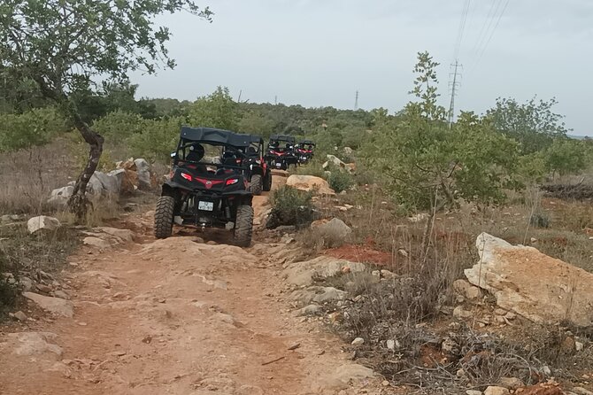 Buggy Adventure - 2 Hours Off-Road Guided Tour From Albufeira - Customer Feedback and Reviews
