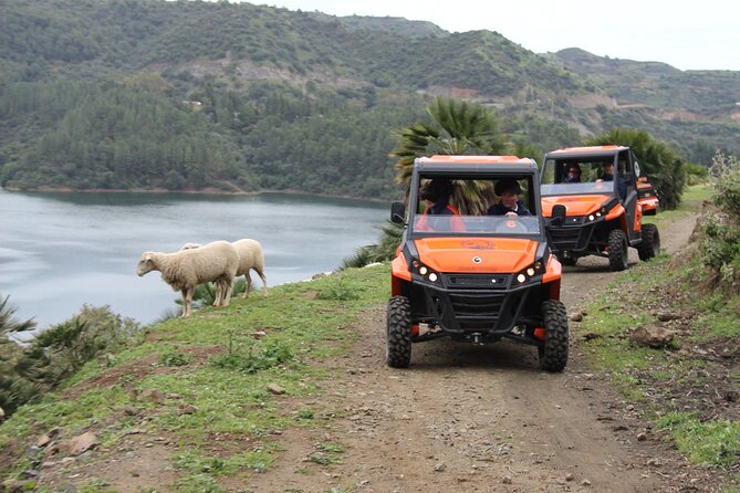 Buggy Adventure With Incredible Views of the Sea and the Reservoir - Viewpoints and Photo Opportunities