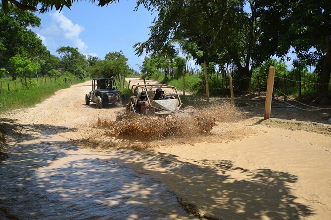 Buggy All Terrain in Cap Cana - Safety and Accessibility