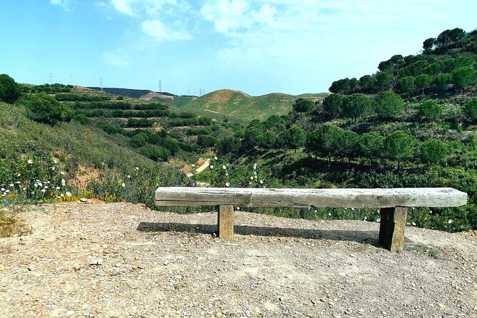 Buggy Dirt and Splash Tour Off/On Road - Suitable for Adventure Seekers