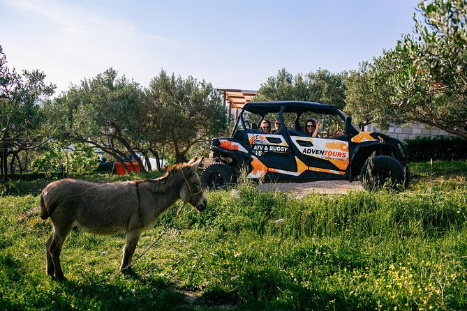 Buggy Dubrovnik Safari Tour (Private) - Tour Requirements and Accessibility
