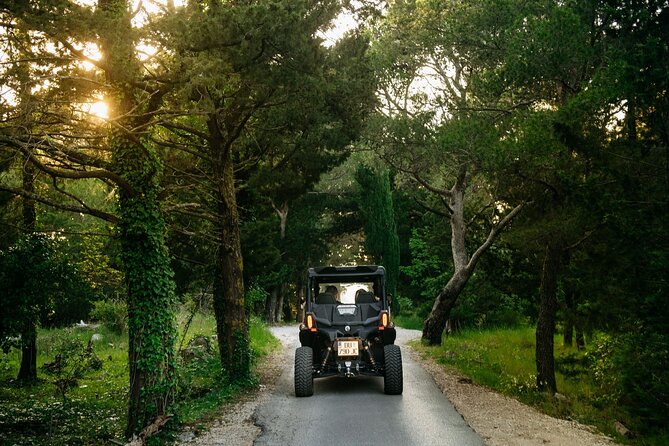 Buggy Dubrovnik Safari Tour (Private) - Pricing and Booking Information