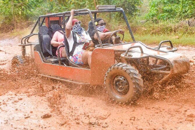 Buggy Excursion to Macau Beach and Natural Cave - Organic Farm Visit: Tasting the Local Bounty