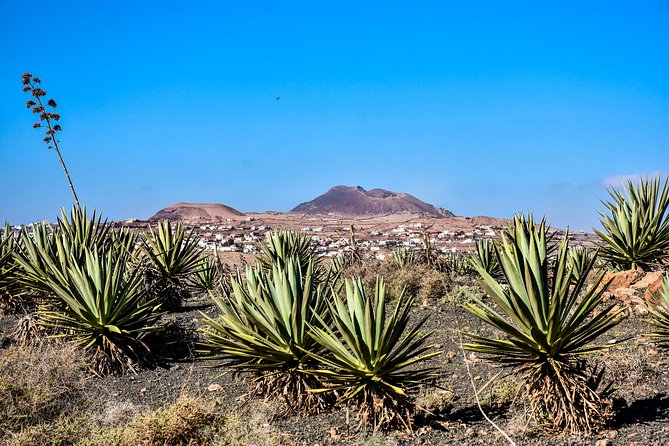 Buggy Fuerteventura Off-Road Excursions - Cancellation and Changes