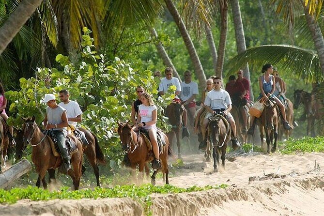 Buggy Horses and Zip Line from Punta Cana with Lunch Included - The Experience: Authentic Fun and Safety