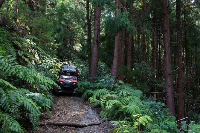 Buggy – Off-road Excursion- Coast to Coast – Half Day (Shared) - Exploring the Coast