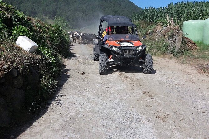 Buggy – Off-Road Excursion W/ Lunch – Coast to Coast (Shared) - Tour Overview