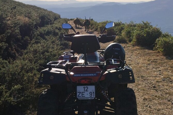 Buggy or Moto4 Tour Through Melgaço - Meeting and End Points