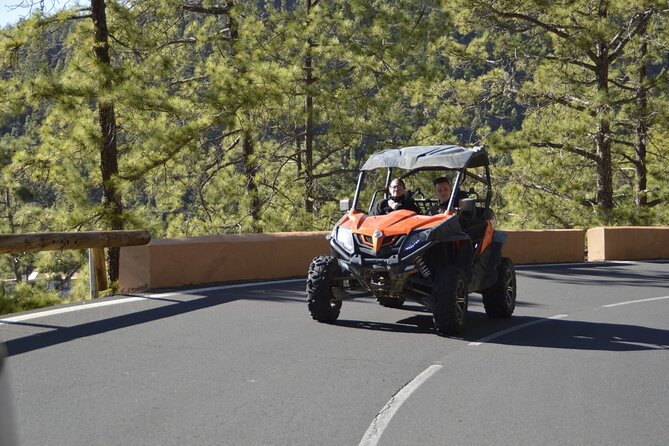 Buggy or Quad Tour Volcano Teide in Teide National Park - Tour Highlights