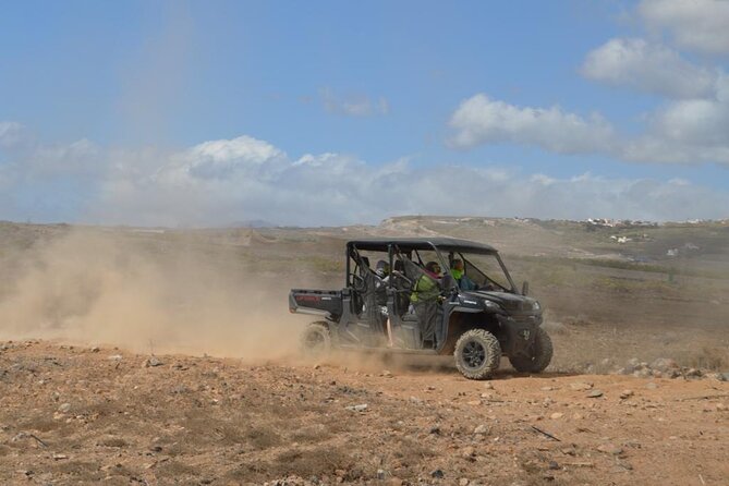 Buggy or Quad Tour Volcano Teide in Teide National Park - Scenic Route and Picnic