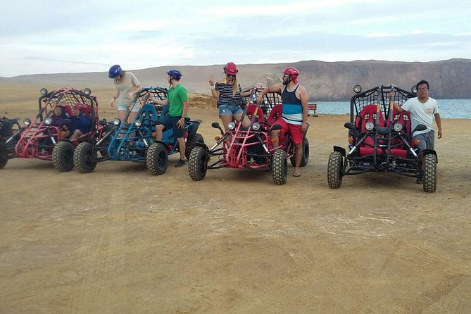 Buggy Ride in Paracas National Reserve - Safety Precautions and Requirements
