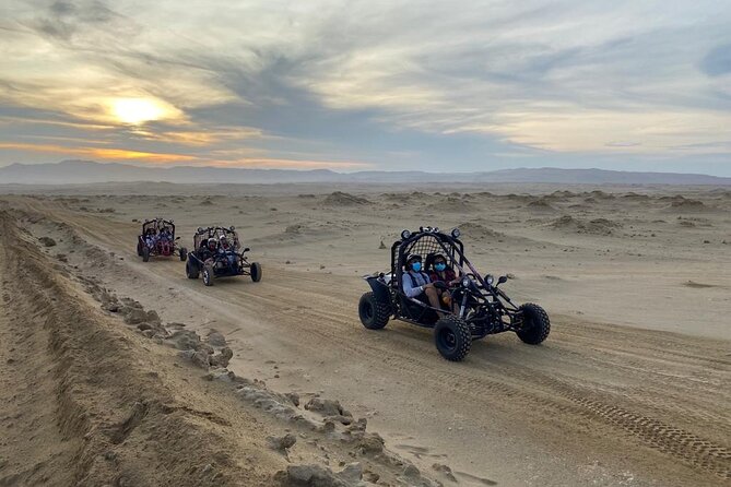 Buggy Ride in Paracas National Reserve - Scenic Viewpoints and Photo Opportunities