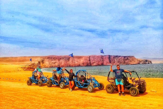 Buggy Ride in Paracas National Reserve - Knowledgeable Tour Guide Assistance