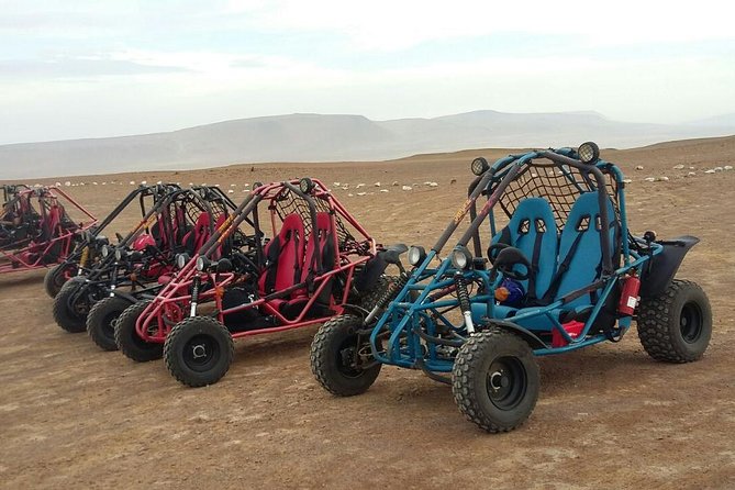 Buggy Ride in Paracas National Reserve - Diverse Customer Experiences and Recommendations