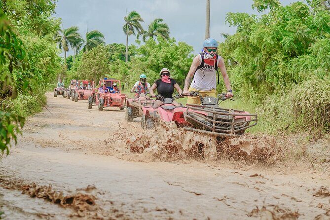 Buggy Ride Into the jungle with cave coffee & chocolate tasting - Authenticity and Value for Money