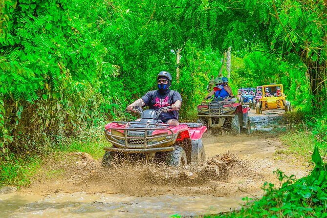 Buggy Ride Into the jungle with cave coffee & chocolate tasting - Final Thoughts