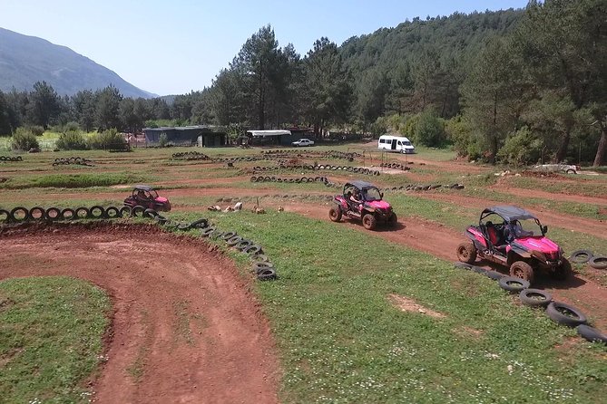 Buggy Safari - Highlights of the Experience
