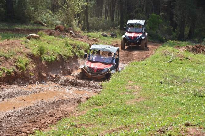 Buggy Safari - Small-group Adventure Guarantee
