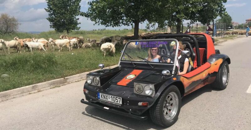 Buggy Safari Discover Olympus by Classic Buggy Rentals - Inclusions