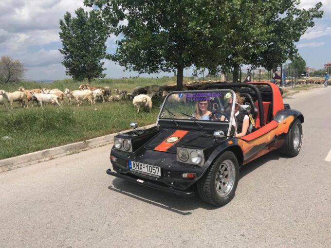 Buggy Safari Discover Olympus by Classic Buggy Rentals - Pickup Locations