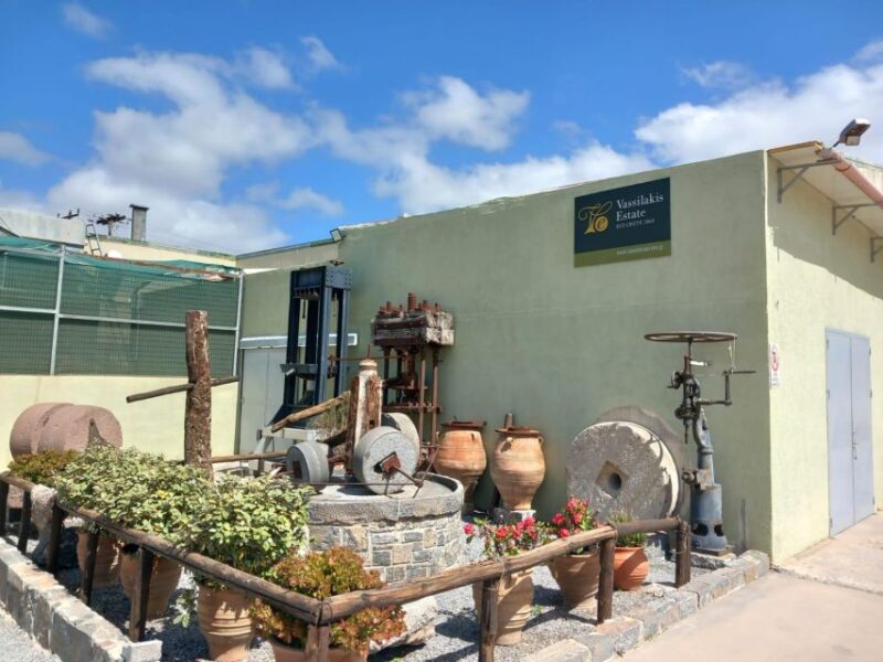 Buggy Safari Half Day 4 Hours 4 Hours ( Hersonissos -Malia) - Transportation and Pickup